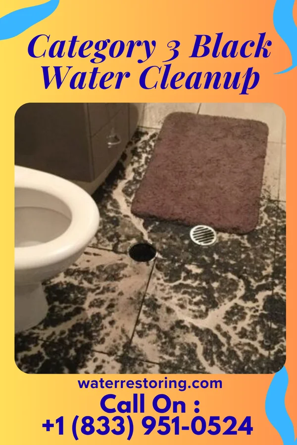 Category 3 Black Water Cleanup in Ithaca, OH