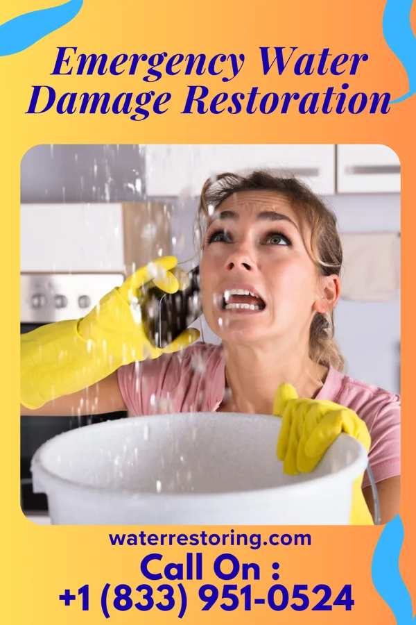 Emergency Water Damage Restoration in Ithaca, OH