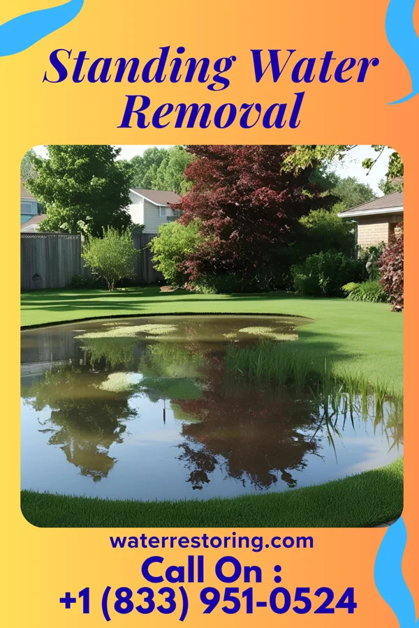 Standing Water Removal in Ithaca, OH